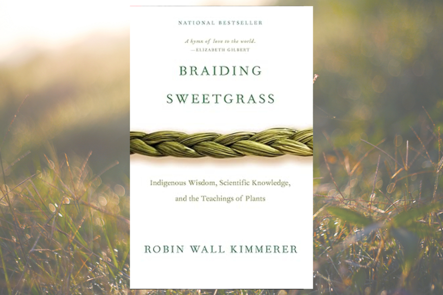 a braid of grass runs horizontally across the white book cover. title and author's name are printed above and below in plain text. a grassy meadow is in the background. and ink drawing of a bird nestled in a grouping of leaves and flowers.