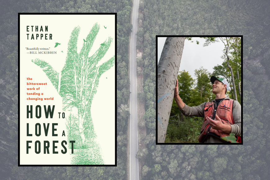 image of the book's cover and title and a photo of the author with his hand on a tree