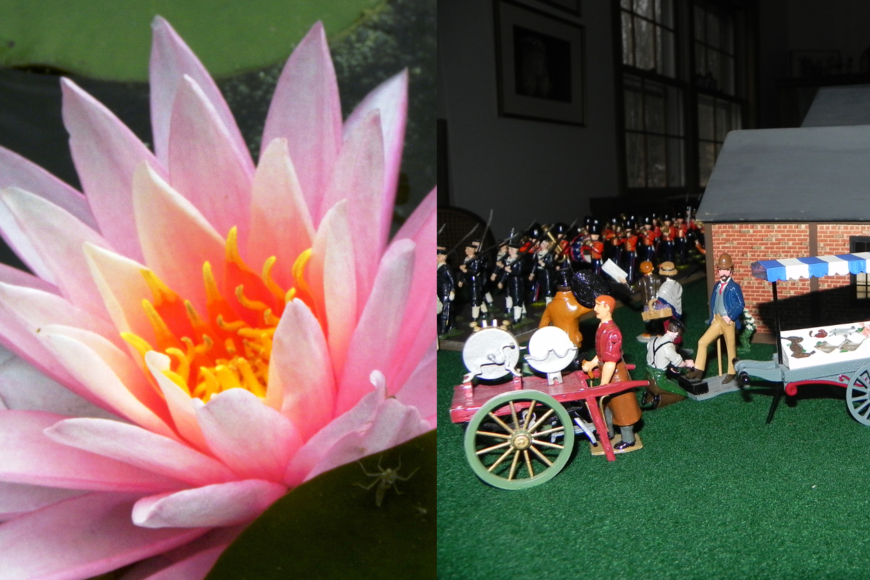 LEFT: A pink flower with an orange interior. RIGHT: A collection of toy soldiers marching behind toy businessmen peddling goods in a park.