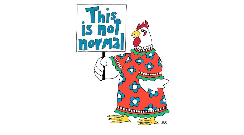 Agnes Not Normal by Sarah Rosedahl