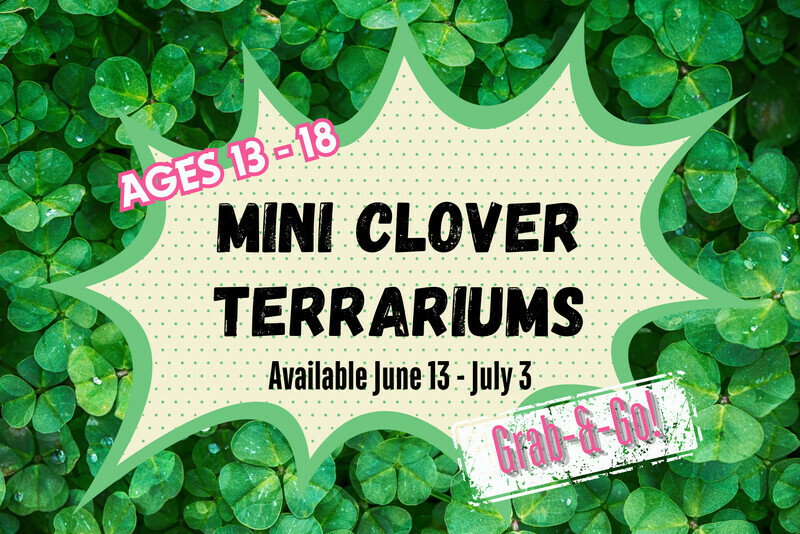 Grab-&-Go: Mini Clover Terrariums