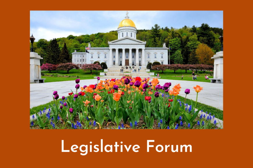 Photograph of the Vermont state capitol with flowers for spring.