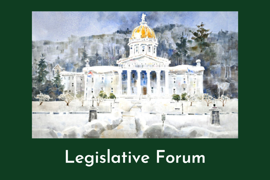 Photograph of the Vermont state capitol with snow on the ground in winter.