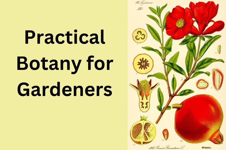 Canceled - Practical Botany for Gardeners