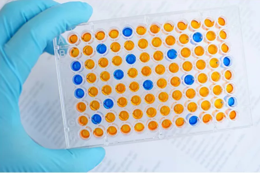 A picture of a gloved hand holding an ELISA test.