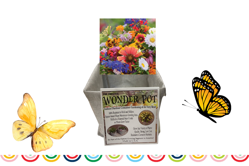 Butterfly garden