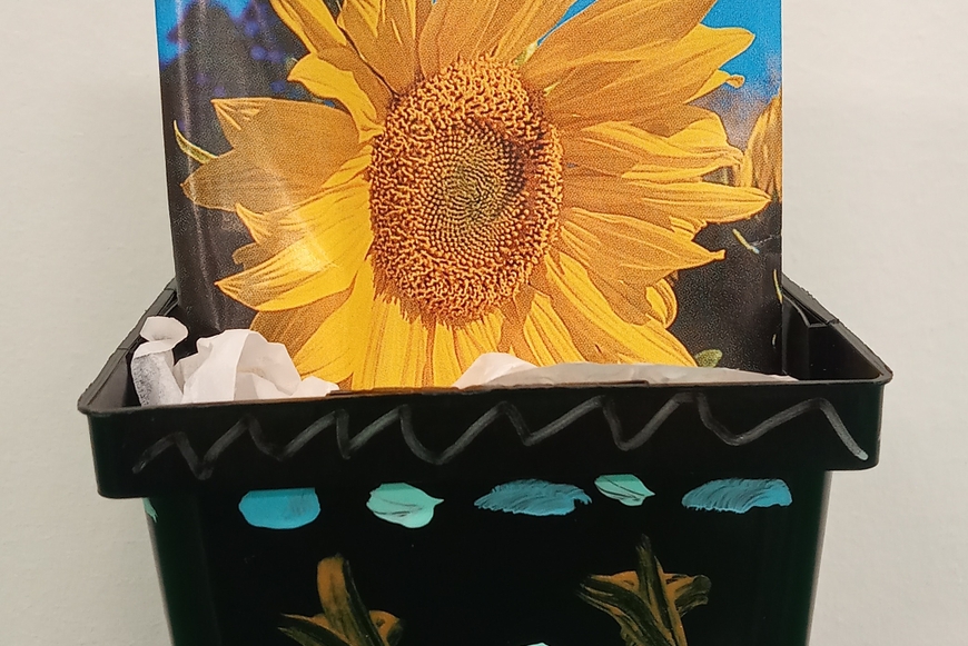 painted pot with sunflower seeds