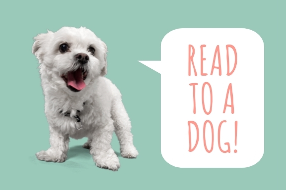 A dog with speech caption